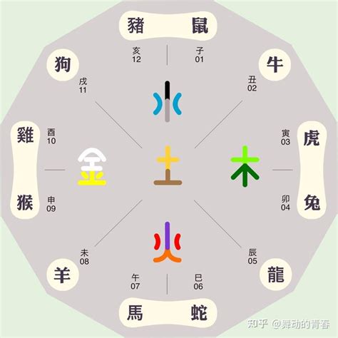 屬火動物|什么动物五行属火？